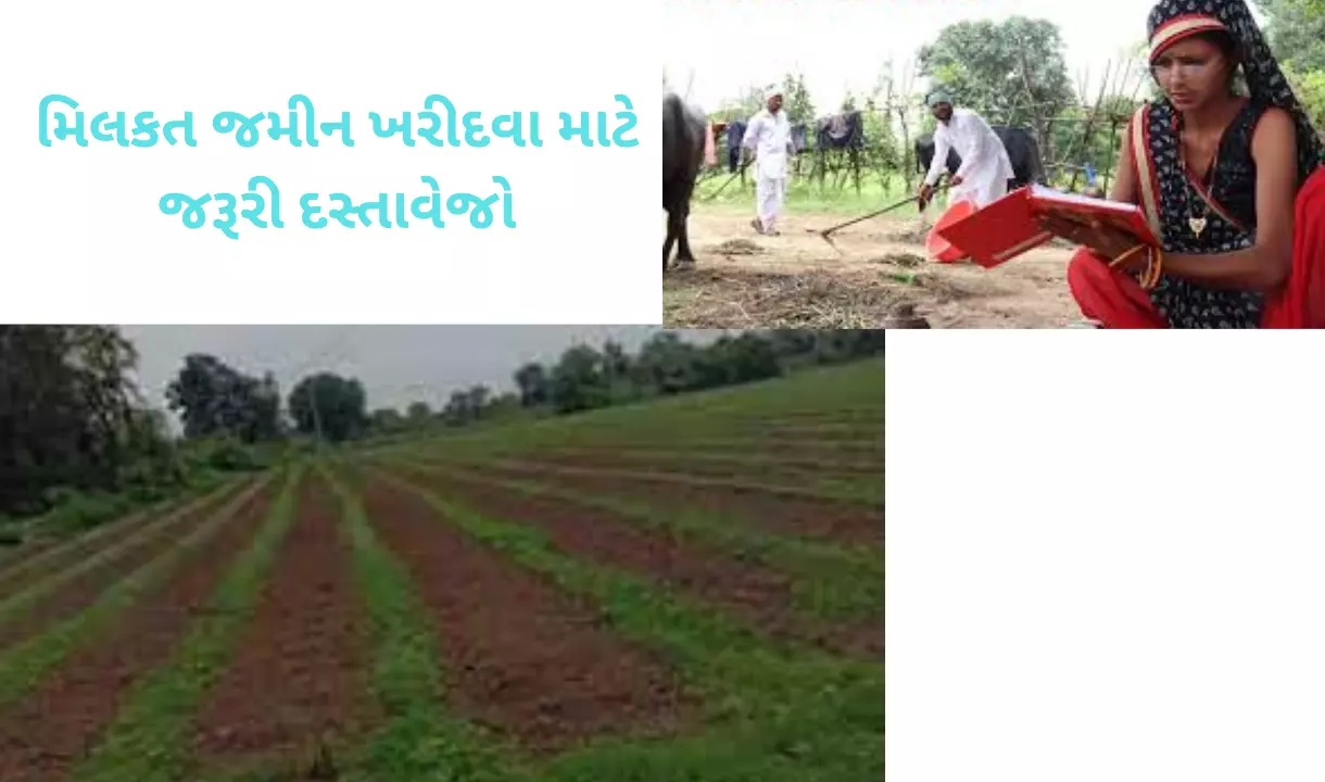 jamin leva mate na document gujarat