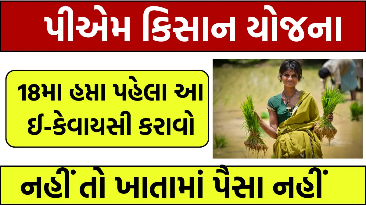 PM Kisan Yojana